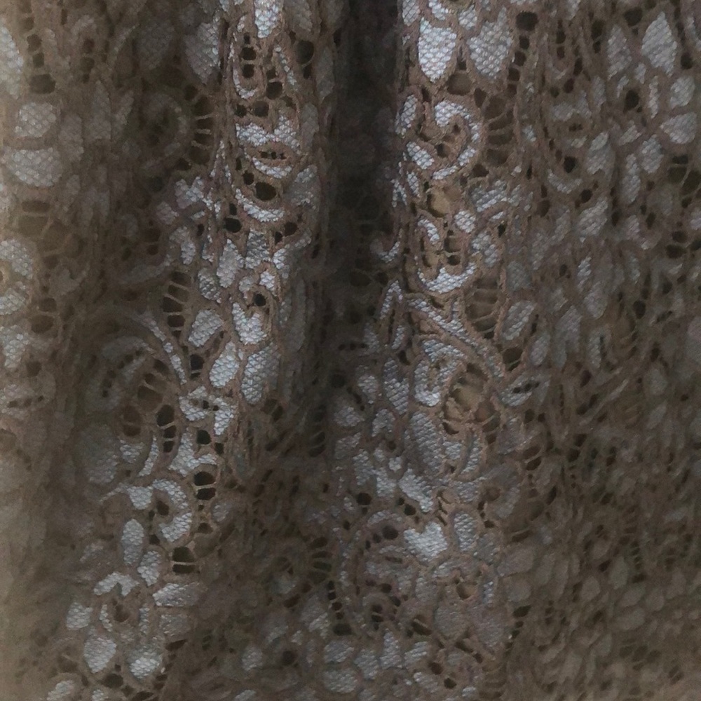 WHBM Sleeveless Lace Dress - Picture 8 of 9